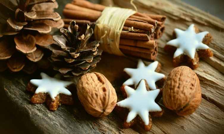 Calendario dell'Avvento 14 Dicembre Curiosità