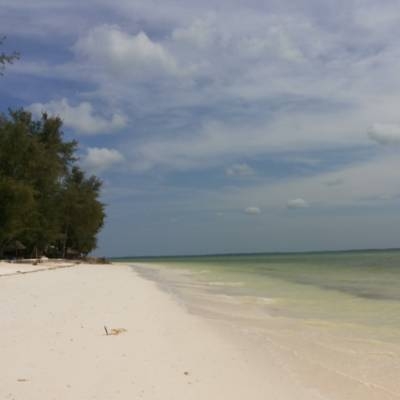 Palumbo Reef *** Uroa - Zanzibar Mare