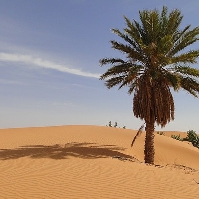Dal Sahara all’Oceano Deserto