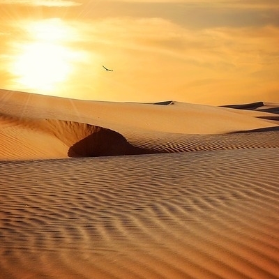 Deserto Nubiano e Mar Rosso 