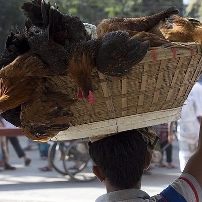 L'India che fu Tour Culturali