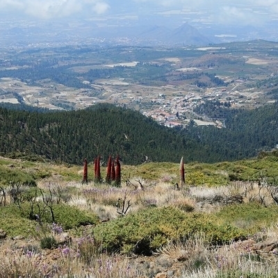 La Isla Bonita, perla dell'Arcipelago delle Canarie Trekking