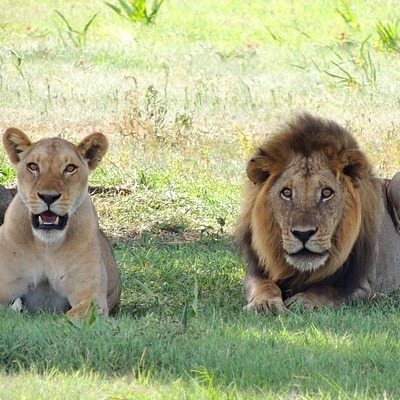 Safari di Lusso 