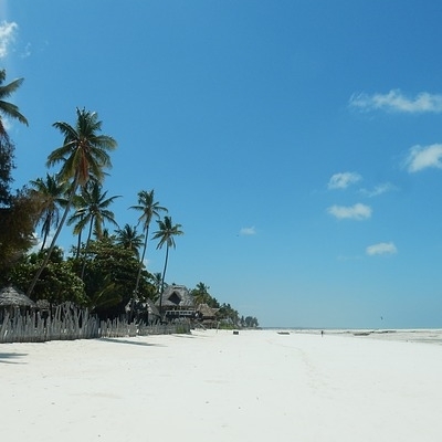 Simba Safari e mare a Zanzibar Safari