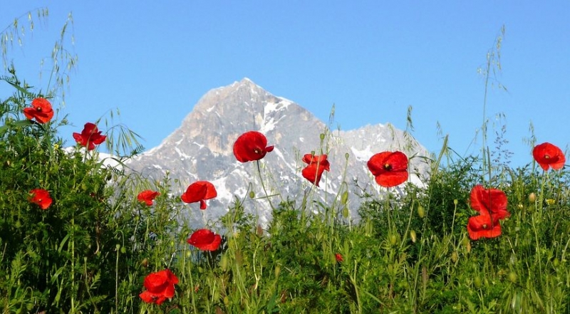 Parco Nazionale d'Abruzzo, Lazio e Molise Trekking