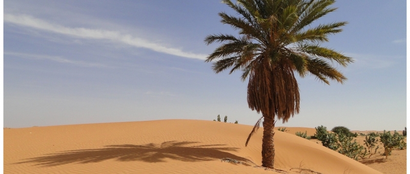 Nel deserto del Mauri 