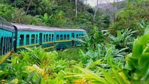 Green Tour 