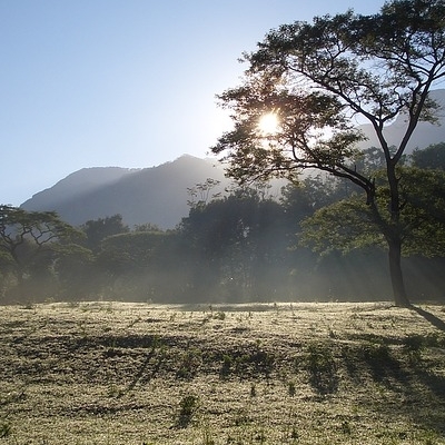 Safari nel Selous Game Reserve Mare a FanJove Safari