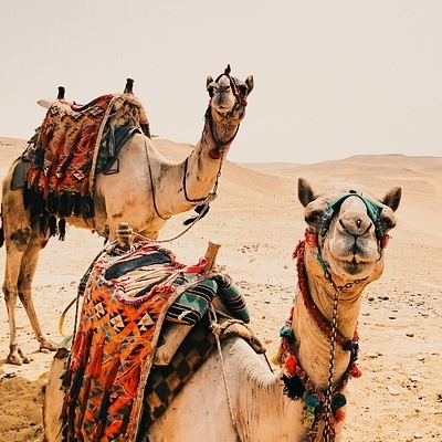 Spedizione nel Sahara centrale Deserto