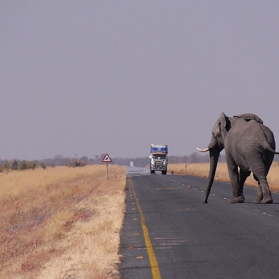 Namibia: Fly & Drive nella natura 