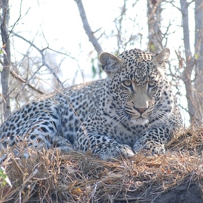 Explore Cape Town & Kruger National Park Spedizioni Avventura